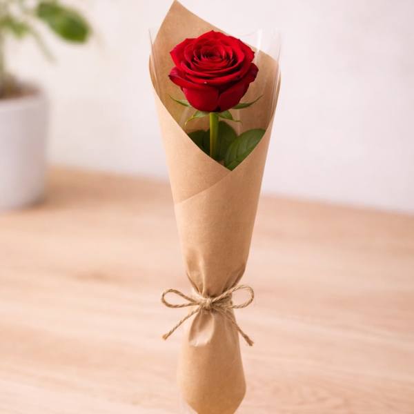The Surprise Rose