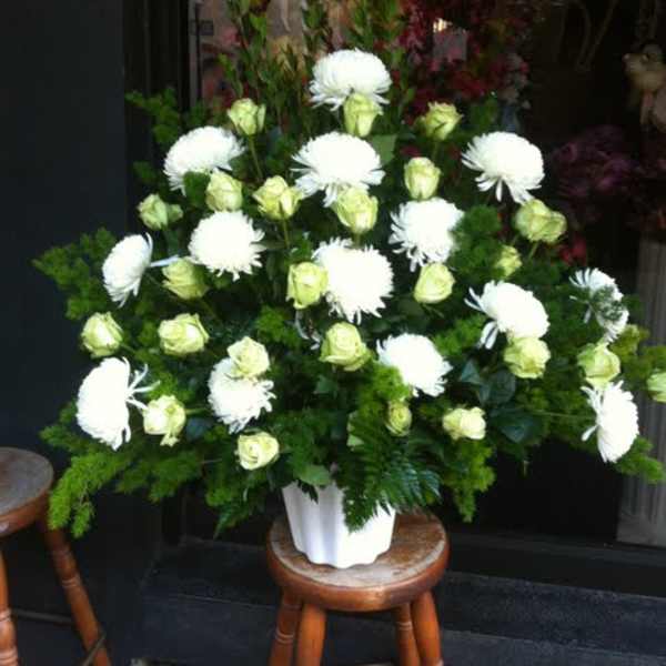 Roses and Mums