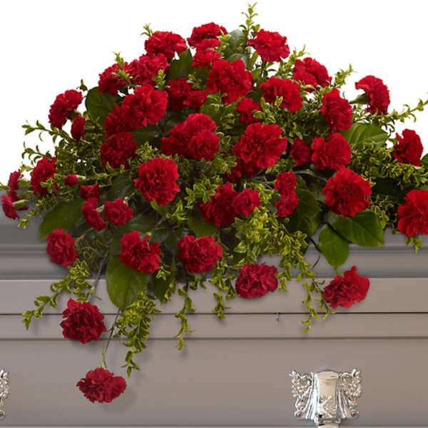Casket spray of red carnations with greenery