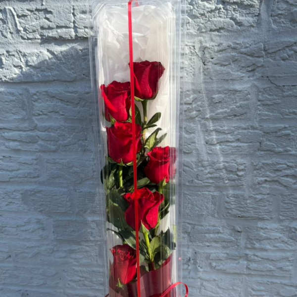 Tall clear box with red roses and a red ribbon