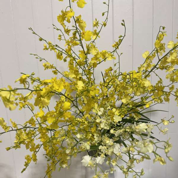 Yellow and white orchid arrangement in a white vase