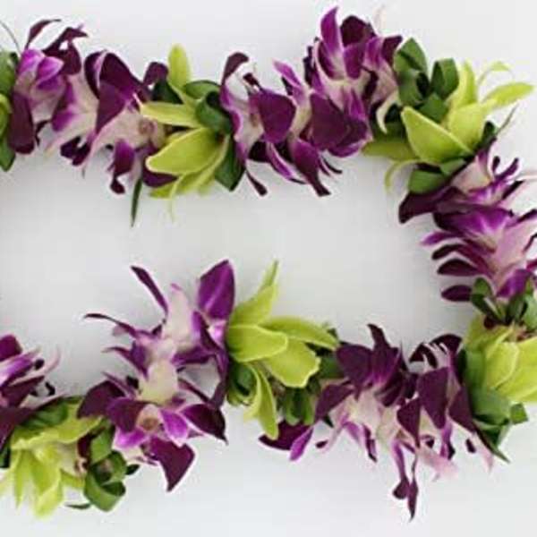Lei 4