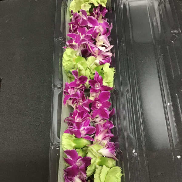 Lei 20