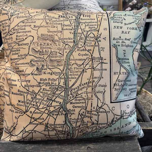 MAP Pillow (Zoomed in)