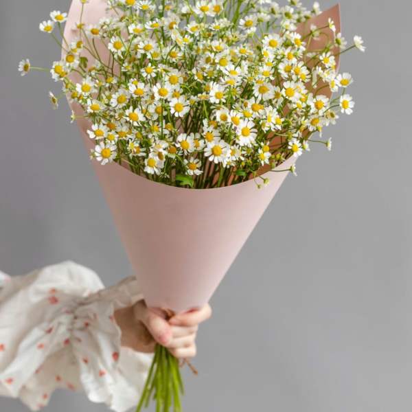 № 506