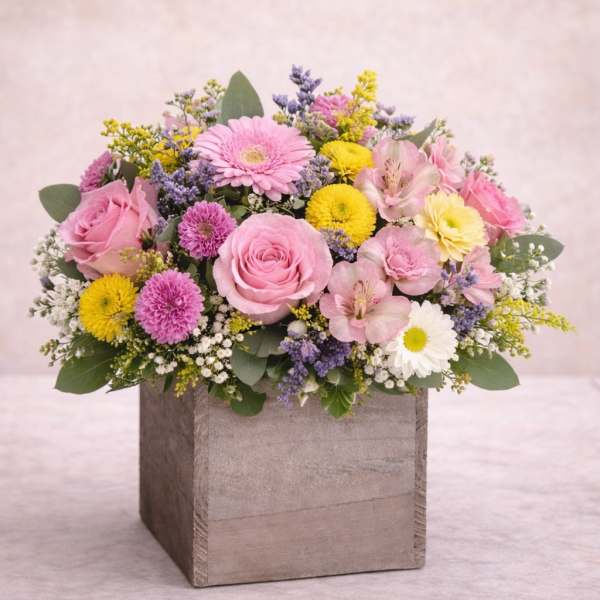 Pastel Radiance