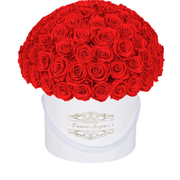 Large dome of red roses in a white hat box