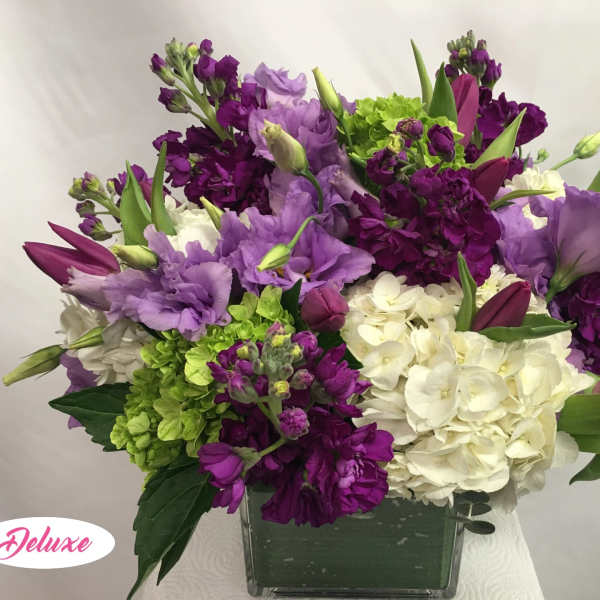 Purple and white floral arrangement in a square glass vase