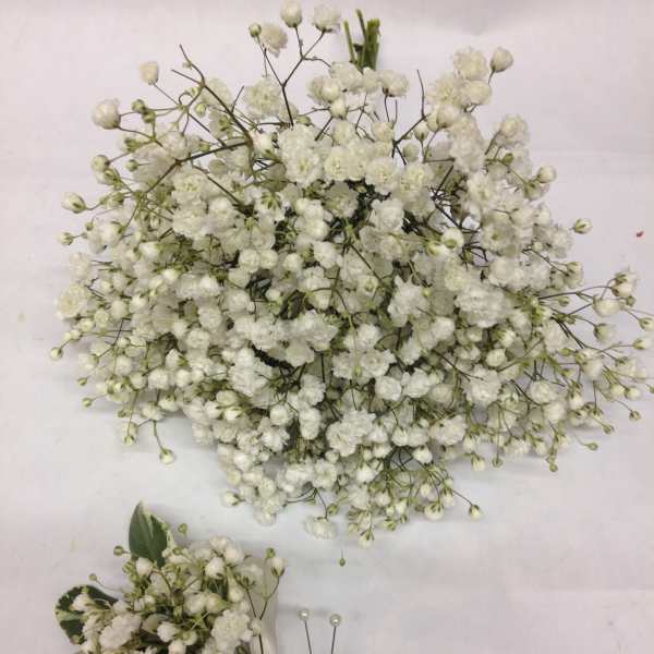 White baby's breath bouquet and matching boutonniere with satin ribbon