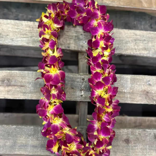 Double Leis - Sunset