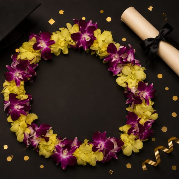 Lei 28