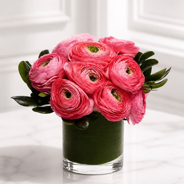 Rosé Ranunculus