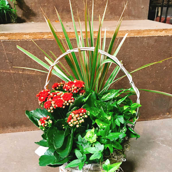 Basket arrangement with red flowers and mixed green foliage