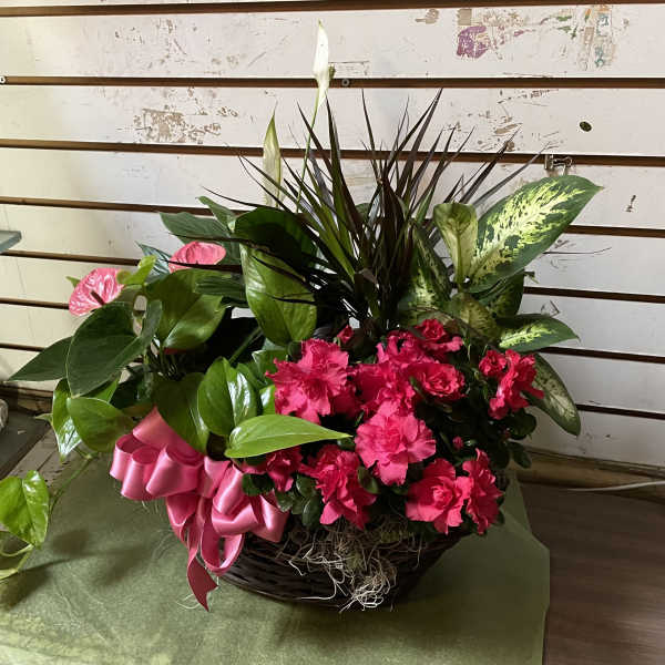 Pink flowers and mixed tropical foliage in a basket with a pink ribbon