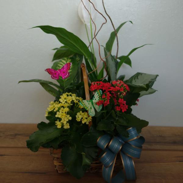 Basket arrangement with red and yellow flowers, green foliage, and butterfly picks