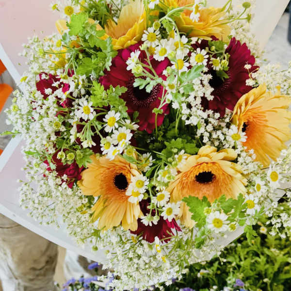 KASSI BOUQUET - DESIGNERS CHOICE DAISIES