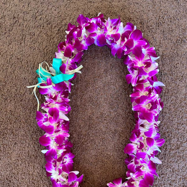 Purple and white orchid lei with a turquoise ribbon bow