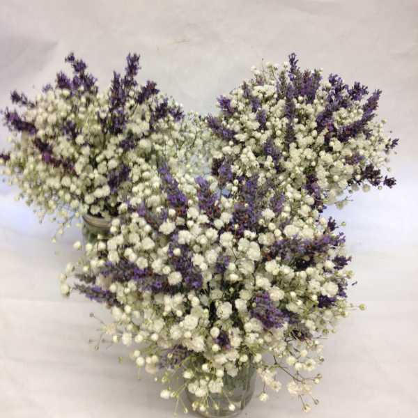 White baby's breath and purple filler flowers in glass vases