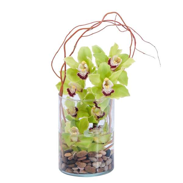 Green orchids arranged in a clear glass cylinder with decorative branches and pebbles