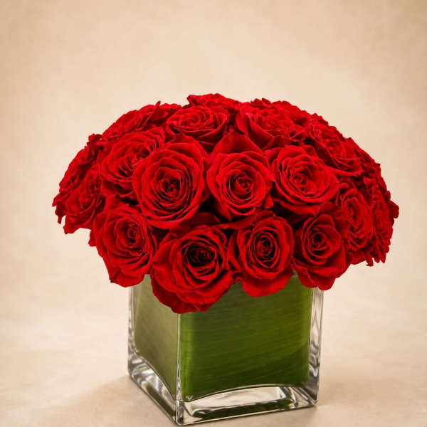 Crimson Couture Roses