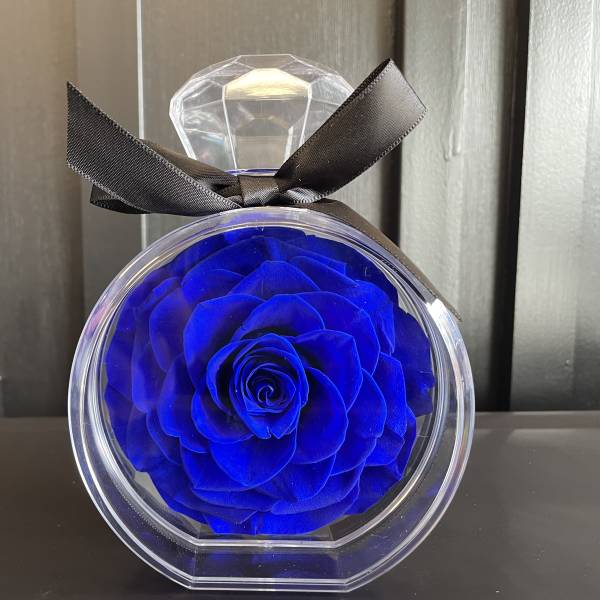 Blue rose in a clear round gift box with a black ribbon