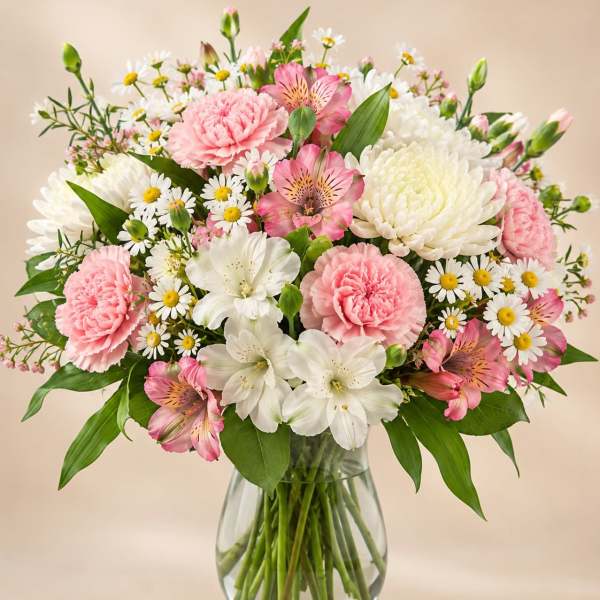 Sweet Daisy Dreams