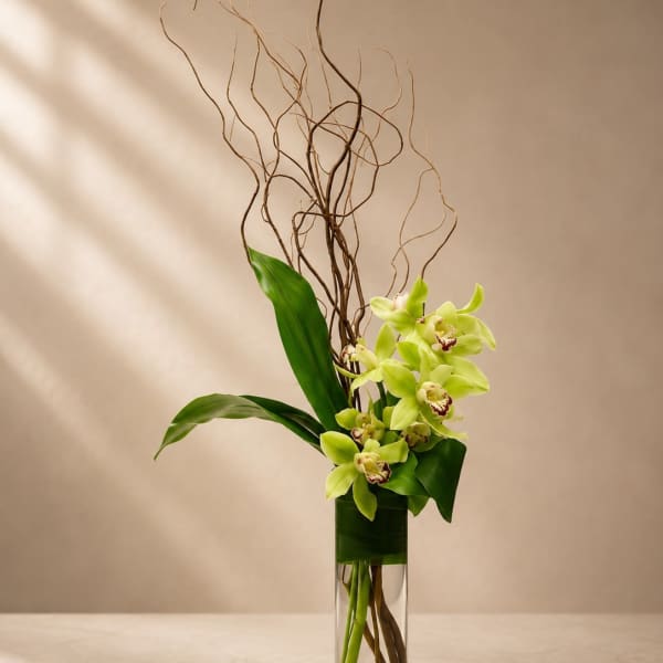 Verdant Muse