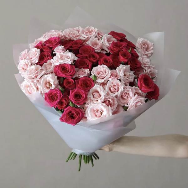 № 43