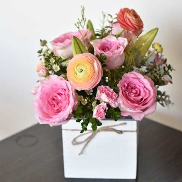 Rose Radiance Delight