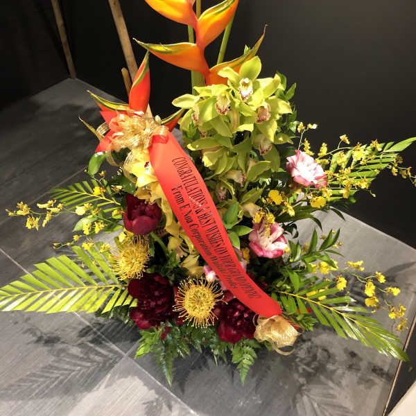 Tropical Anuenue AR2502