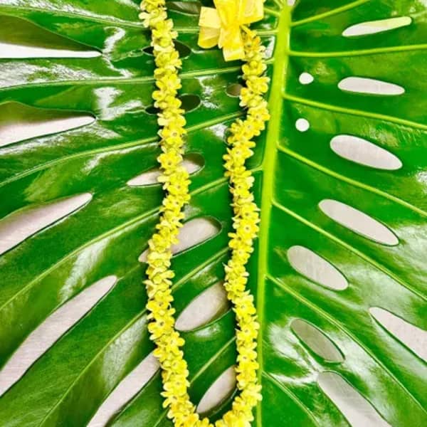 Yellow flower lei on a large green tropical leaf