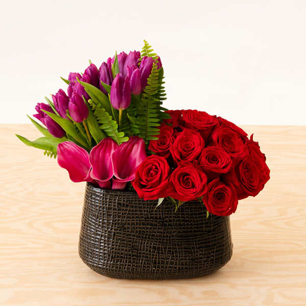 Serenade