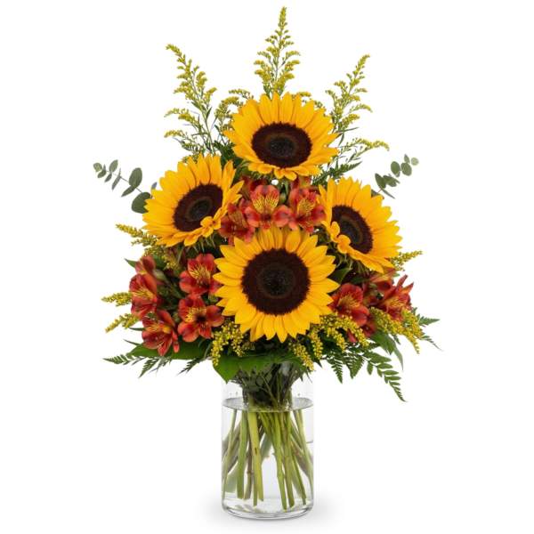 Golden Harvest Radiance
