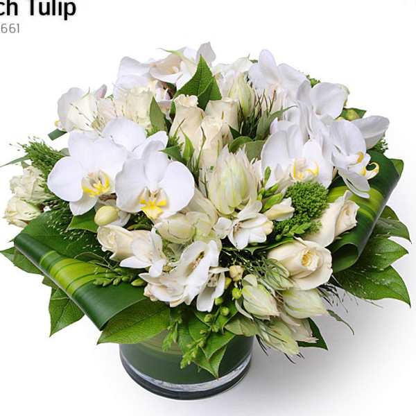 Trend Setter