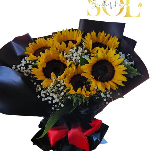 Bouquet of sunflowers wrapped in black paper with a red ribbon