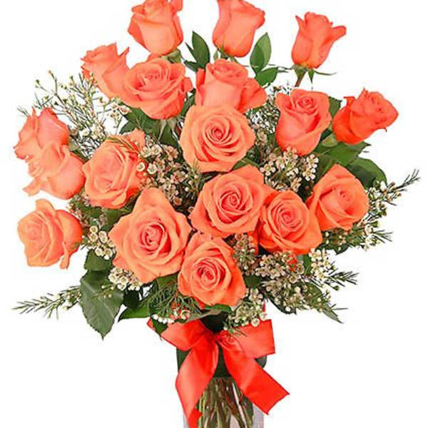 Orange Admiration