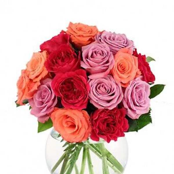 Rose Lovers