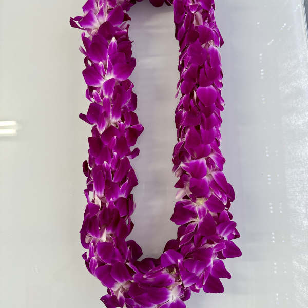 Purple orchid lei on a white background