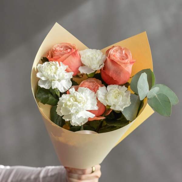 № 491