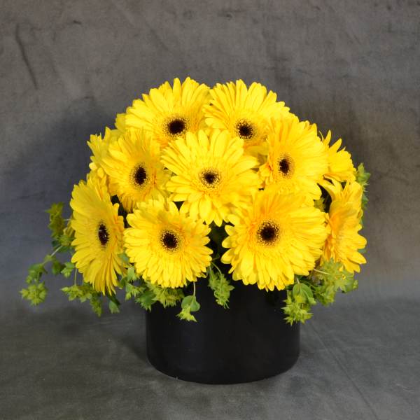 Joy
