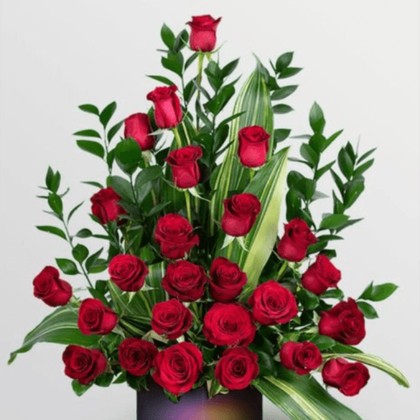 AMAPOLA