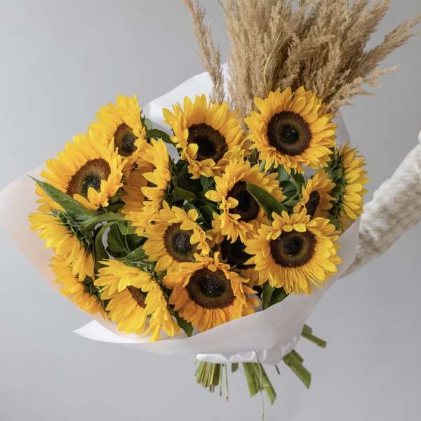 № 494