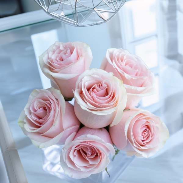 Bouquet of pale pink roses in a clear glass vase