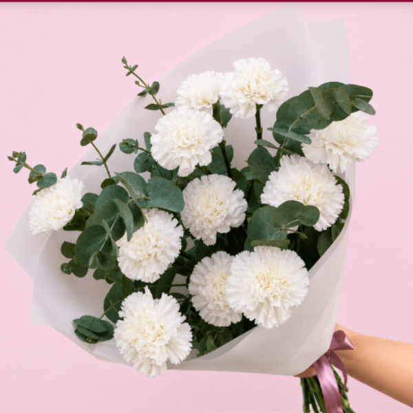 SNOW WHITE CARNATIONS