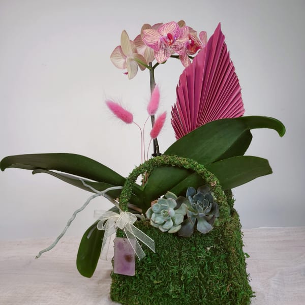 Orchid arrangement in a moss-covered basket with succulents and pink accents