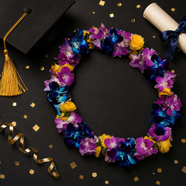 Lei 27