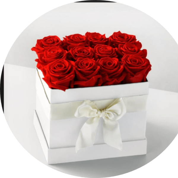 Madison