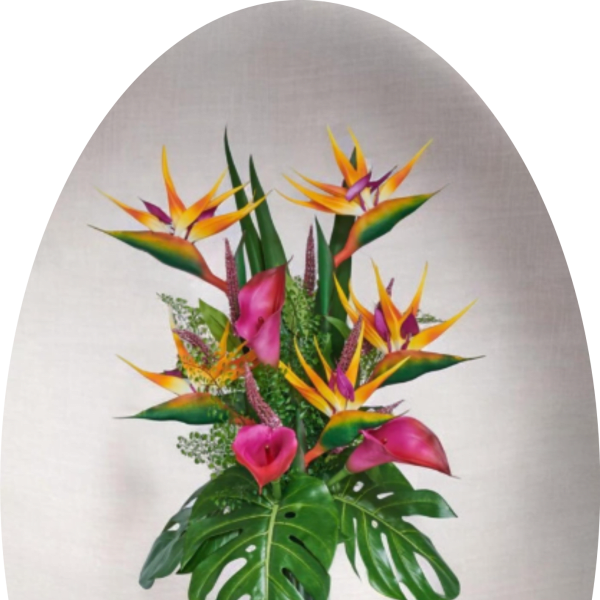 Bold Tropical Bird