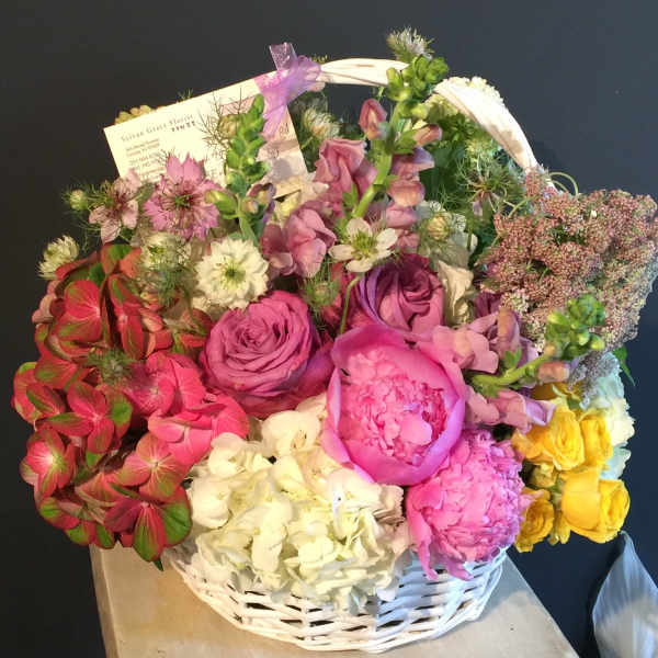 SG - 38