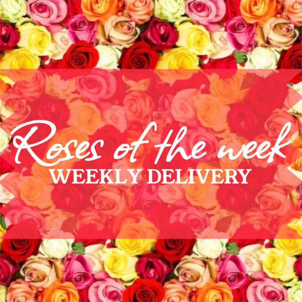 Rose pattern with the words "Roses of the week" and "Weekly delivery"